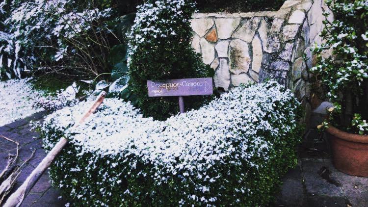 Agriturismo Terre Delle Monache Pontecagnano Faiano Buitenkant foto
