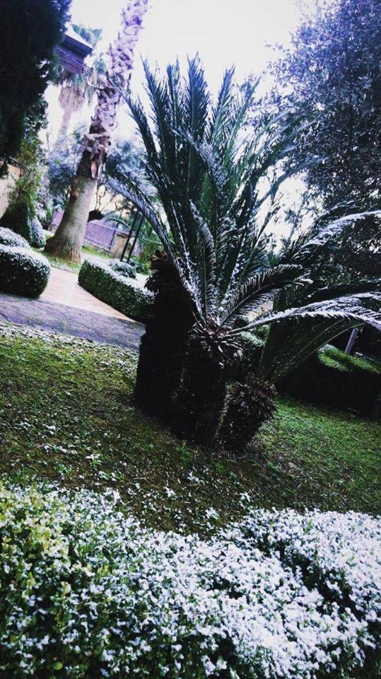 Agriturismo Terre Delle Monache Pontecagnano Faiano Buitenkant foto